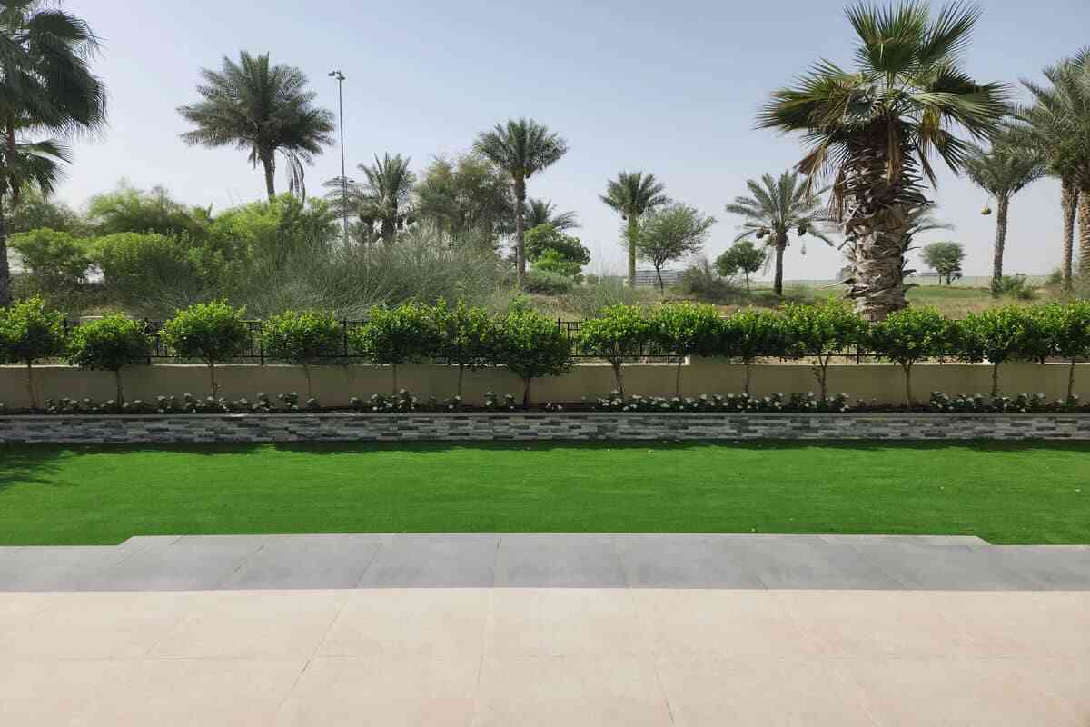 lawn installation services Damac Hills Dubai UAE