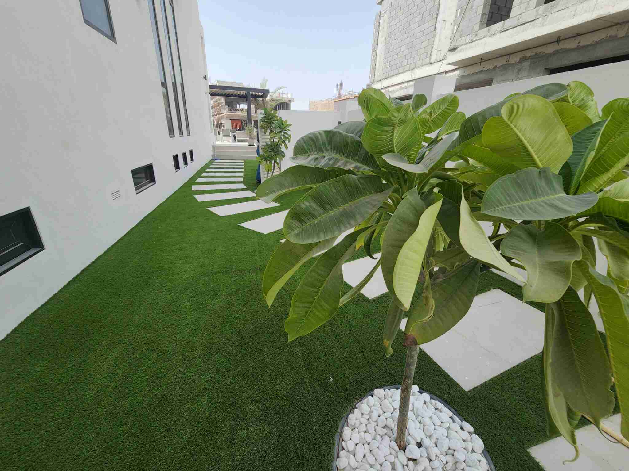 A landscaped walkway with lush green artificial grass and stepping stones alongside a modern building in Dubai Hills. The scene features decorative plants with broad leaves and white pebble bases, creating a serene and neat environment, showcasing exceptional landscaping Dubai is known for.