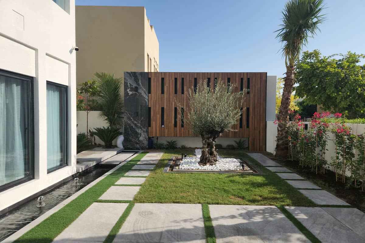 A modern backyard featuring a white stone pathway, green lawn, and an olive tree planted in a white gravel bed. The yard is bordered by white walls and lush vegetation including palm trees and flowering bushes. A wooden fence with vertical slats stands at the rear, enhancing the Landscaping Dubai flair.