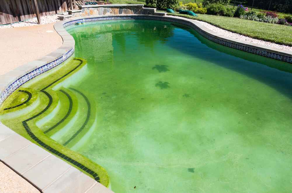 Swimming Pool Problems with Algae in Dubai: Causes, Types, and Expert Fixes