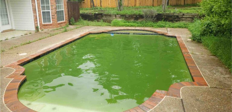 Read more about the article Why Your Pool Water Turns Green and How to Fix It