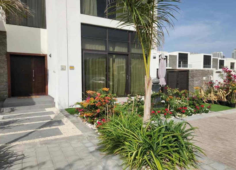 Integrated landscaping and swimming pool design in Dubai backyard