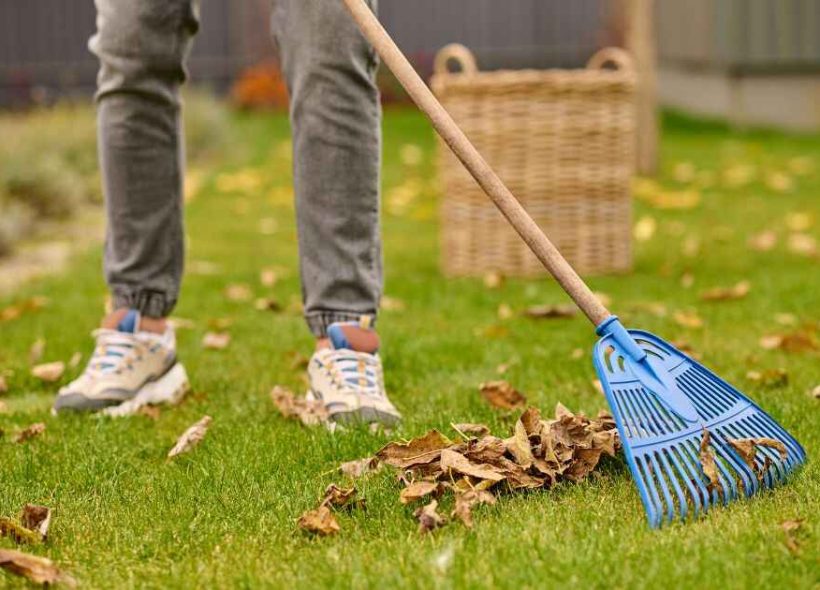 Garden Cleaning Services