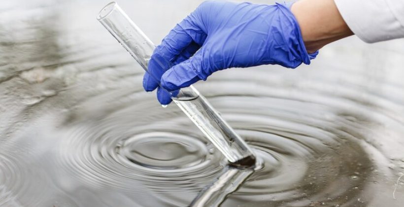 Maintaining Water Clarity and Quality