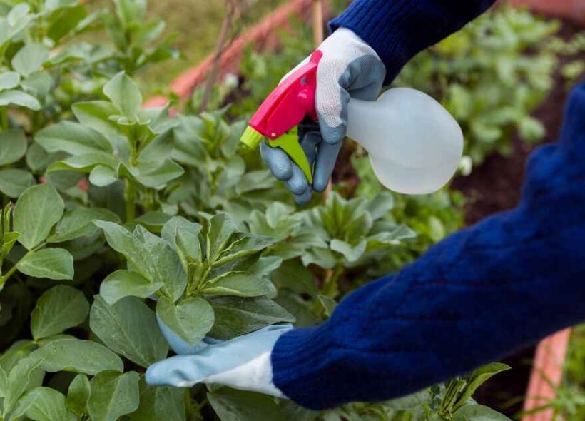 Pest and Plant Disease Control