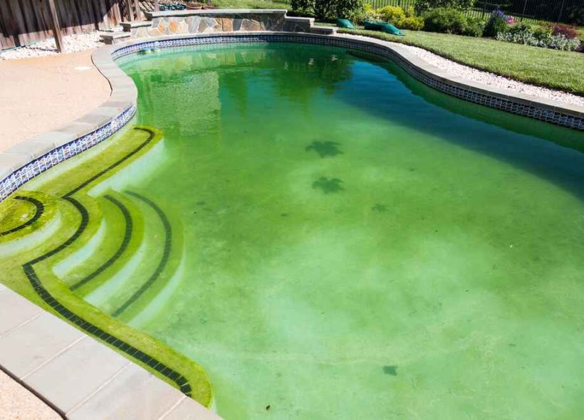 Swimming Pool Problems with Algae in Dubai: Causes, Types, and Expert Fixes