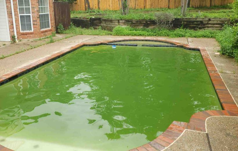 Why Your Pool Water Turns Green and How to Fix It Why Your Pool Water Turns Green and How to Fix It